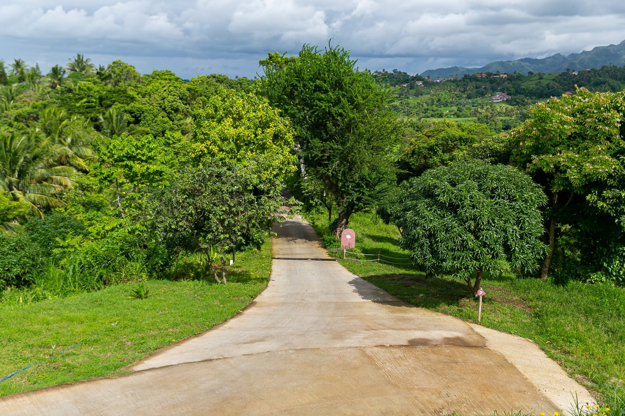 Grass-Fed Beef product